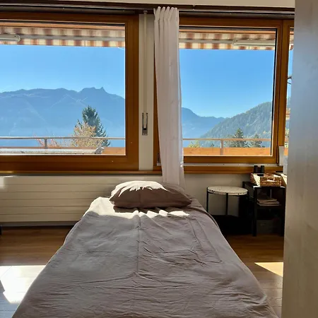 Renove Avec Vue Panoramique Ovronnaz