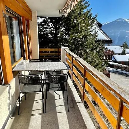Renove Avec Vue Panoramique Daire Ovronnaz